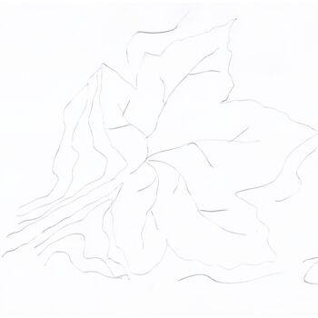 Artes digitais intitulada "Autumn Winds - Leaf…" por Scribblesnotscribbles, Obras de arte originais, Trabalho Digital 2D