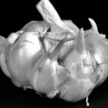 Photography titled "Monochrome Garlic w…" by Stephen D. Smith, Original Artwork, Digital Photography
