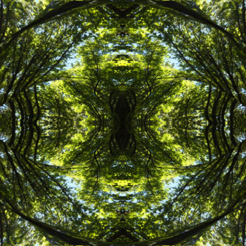 Digital Arts titled "Forest Abstract 58" by Kenneth Grzesik, Original Artwork, 2D Digital Work