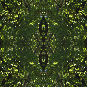 Grafika cyfrowa / sztuka generowana cyfrowo zatytułowany „Forest Abstract 59” autorstwa Kenneth Grzesik, Oryginalna praca, 2…