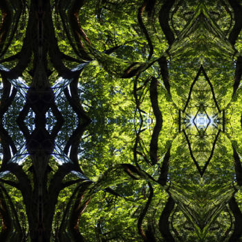 Arts numériques intitulée "Forest Abstract 60" par Kenneth Grzesik, Œuvre d'art originale, Travail numérique 2D