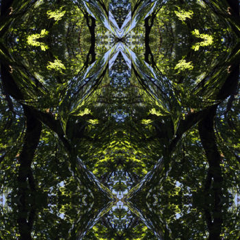 Digital Arts titled "Forest Abstract 61" by Kenneth Grzesik, Original Artwork, 2D Digital Work