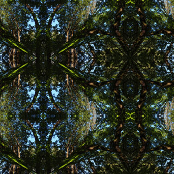 Digitale Kunst getiteld "Forest Abstract 62" door Kenneth Grzesik, Origineel Kunstwerk, 2D Digital Work