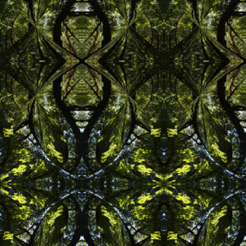 数字艺术 标题为“Forest Abstract 63” 由Kenneth Grzesik, 原创艺术品, 2D数字工作
