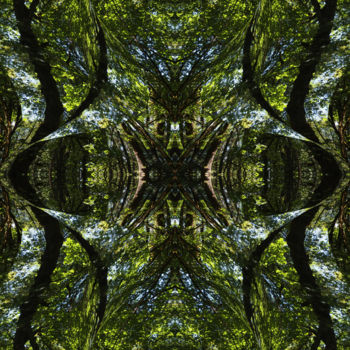 Artes digitais intitulada "Forest Abstract 66" por Kenneth Grzesik, Obras de arte originais, Trabalho Digital 2D