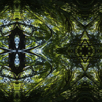 数字艺术 标题为“Forest Abstract 69” 由Kenneth Grzesik, 原创艺术品, 2D数字工作