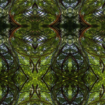 Digital Arts titled "Forest Abstract 72" by Kenneth Grzesik, Original Artwork, 2D Digital Work
