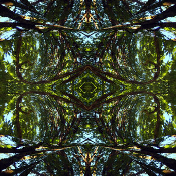 Digital Arts titled "Forest Abstract 75" by Kenneth Grzesik, Original Artwork, 2D Digital Work