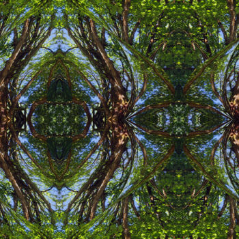 Digital Arts titled "Forest Abstract 76" by Kenneth Grzesik, Original Artwork, 2D Digital Work