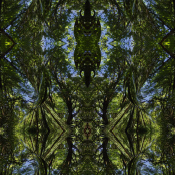 Arte digital titulada "Forest Abstract 77" por Kenneth Grzesik, Obra de arte original, Trabajo Digital 2D