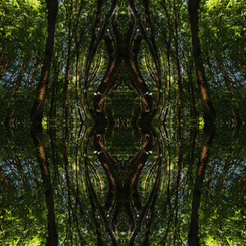 Grafika cyfrowa / sztuka generowana cyfrowo zatytułowany „Forest Abstract 78” autorstwa Kenneth Grzesik, Oryginalna praca, 2…