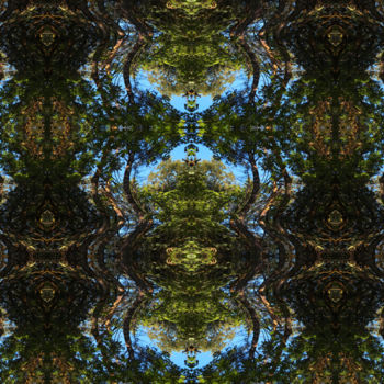 Digital Arts με τίτλο "Forest Abstract 80" από Kenneth Grzesik, Αυθεντικά έργα τέχνης, 2D ψηφιακή εργασία