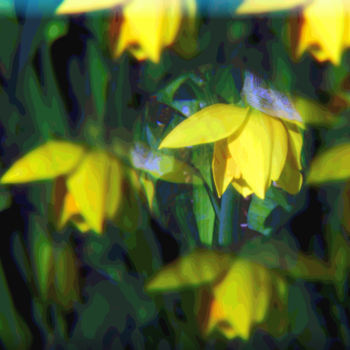 Digitale Kunst mit dem Titel "Optical Garden 2" von Kenneth Grzesik, Original-Kunstwerk, 2D digitale Arbeit
