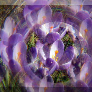Digitale Kunst getiteld "Optical Garden 5" door Kenneth Grzesik, Origineel Kunstwerk, 2D Digital Work