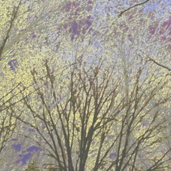 Artes digitais intitulada "Winter Forest 1" por Kenneth Grzesik, Obras de arte originais