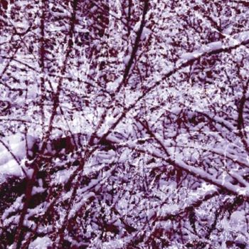Digitale Kunst mit dem Titel "Winter Forest 12" von Kenneth Grzesik, Original-Kunstwerk