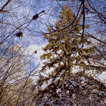 Digitale Kunst getiteld "Winter Forest 14" door Kenneth Grzesik, Origineel Kunstwerk