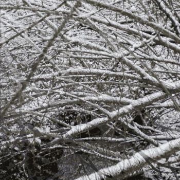 "Winter Forest 15" başlıklı Dijital Sanat Kenneth Grzesik tarafından, Orijinal sanat, Dijital Resim