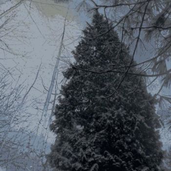 Arte digitale intitolato "Winter Forest 18" da Kenneth Grzesik, Opera d'arte originale, Pittura digitale