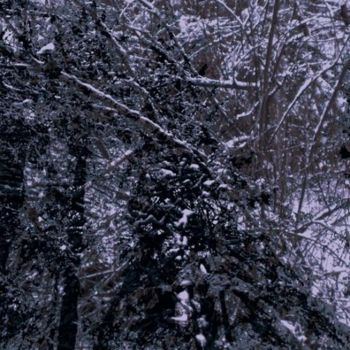 Arts numériques intitulée "Winter Forest 19" par Kenneth Grzesik, Œuvre d'art originale, Photo montage