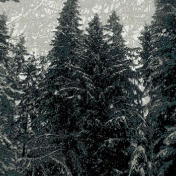 Arte digital titulada "Winter Forest 20" por Kenneth Grzesik, Obra de arte original, Pintura Digital