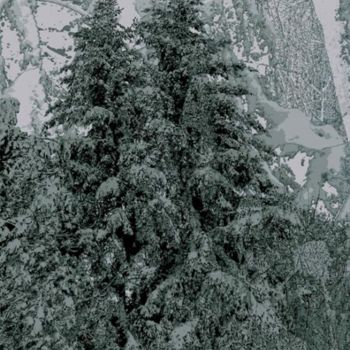 Arte digitale intitolato "Winter Forest 28" da Kenneth Grzesik, Opera d'arte originale, Pittura digitale