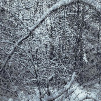 Digital Arts titled "Winter Forest 29" by Kenneth Grzesik, Original Artwork, Digital Painting
