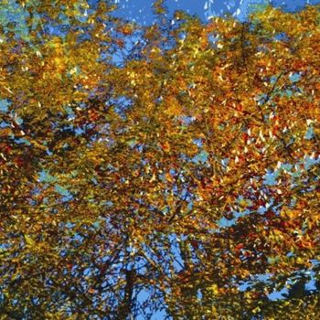 Digital Arts titled "Autumnly #15" by Kenneth Grzesik, Original Artwork, Digital Painting
