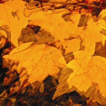 Artes digitais intitulada "Autumnation 17" por Kenneth Grzesik, Obras de arte originais, Pintura digital