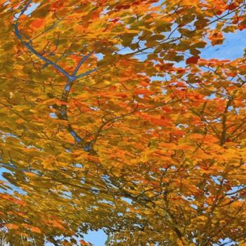 Digitale Kunst mit dem Titel "Autumnation 20" von Kenneth Grzesik, Original-Kunstwerk, Digitale Malerei