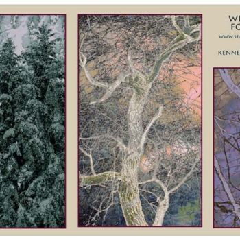 Digital Arts titled "Winter Forest Poster" by Kenneth Grzesik, Original Artwork, Photo Montage