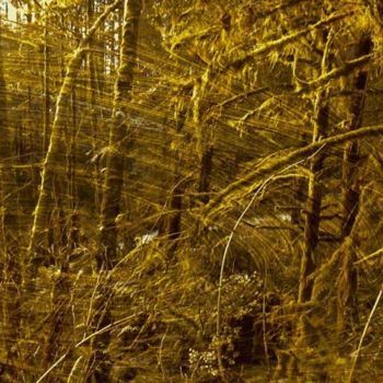 Digitale Kunst mit dem Titel "Winter Solstice Nor…" von Kenneth Grzesik, Original-Kunstwerk, Digitale Malerei