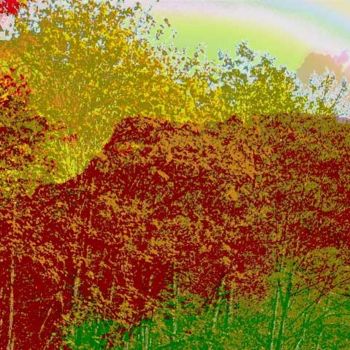 Arte digitale intitolato "Autumnism 25" da Kenneth Grzesik, Opera d'arte originale, Pittura digitale