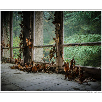 Photography titled "Quand l'herbe nous…" by Sébastien Bance, Original Artwork, Digital Photography