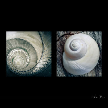 Photography titled "Snail" by Sébastien Bance, Original Artwork, Digital Photography