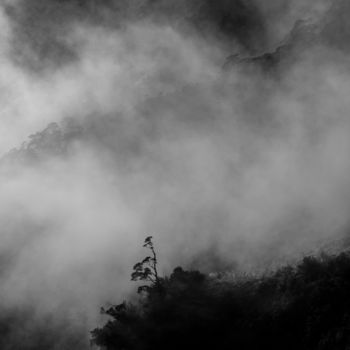 Photography titled "Fog" by Sebastian Hartel, Original Artwork, Digital Photography