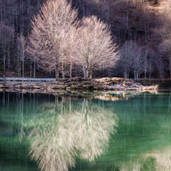 Fotografie getiteld "Lac de Bethmale Ref…" door Sébastien Blanc, Origineel Kunstwerk, Digitale fotografie Gemonteerd op Alum…