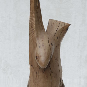 Escultura intitulada "tchiwara" por Sébastien Gleize, Obras de arte originais, Madeira