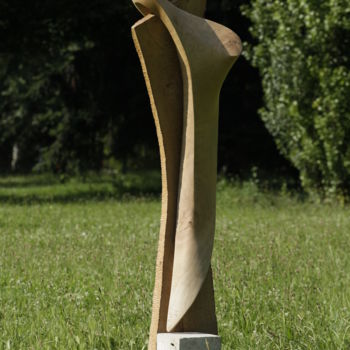 Sculpture titled "Duo" by Sébastien Gleize, Original Artwork, Wood