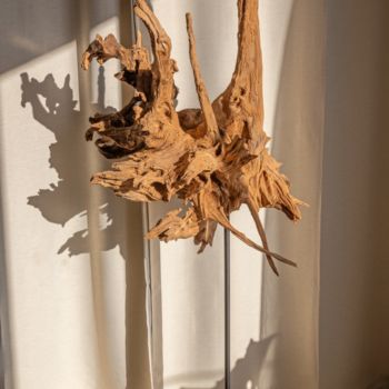 "Acacia root sculptu…" başlıklı Heykel Jozef Sedmak tarafından, Orijinal sanat, Ahşap