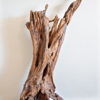 "Acacia root sculptu…" başlıklı Heykel Jozef Sedmak tarafından, Orijinal sanat, Ahşap