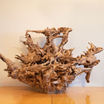 Sculpture titled "Acacia root sculptu…" by Jozef Sedmak, Original Artwork, Wood