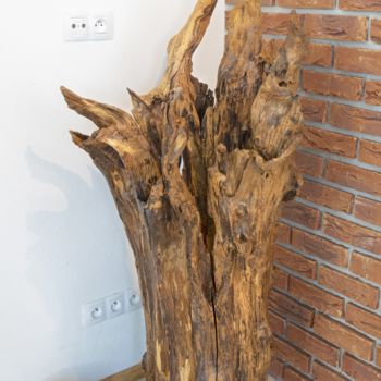 Sculptuur getiteld "Acacia decorative s…" door Jozef Sedmak, Origineel Kunstwerk, Hout