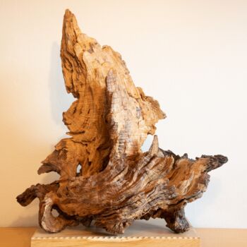 Sculptuur getiteld "Oak organic decorat…" door Jozef Sedmak, Origineel Kunstwerk, Hout