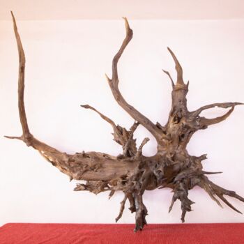 Scultura intitolato "Acacia hanging deco…" da Jozef Sedmak, Opera d'arte originale, Legno