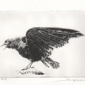 Gravures & estampes intitulée "Le corbeau" par Segal-Creismeas, Œuvre d'art originale, Eau-forte