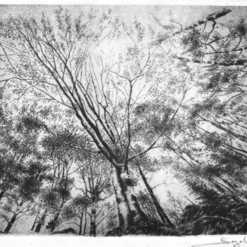 Printmaking titled "Vers le ciel" by Segal-Creismeas, Original Artwork, Etching