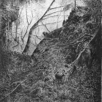 Printmaking titled "L'arbre mort" by Segal-Creismeas, Original Artwork, Etching