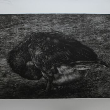 Incisioni, stampe intitolato "L'oie (manière noir…" da Segal-Creismeas, Opera d'arte originale, incisione Montato su artwork…
