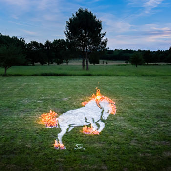 Fotografie mit dem Titel "Cheval de feu" von Sekhmet, Original-Kunstwerk, Digitale Fotografie